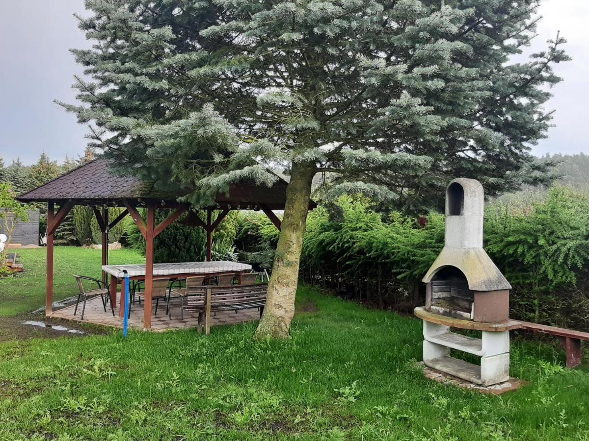 Villa Danuta- Wiselka, Direct At National Park, Big Garden, 4 Bedrooms, Private Sauna エクステリア 写真